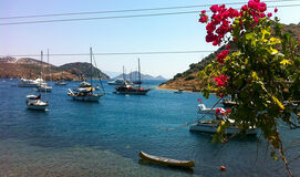 BODRUM TURU (2 Gece Konaklamalı)  Bahar Fırsatı ! 