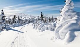 Kuzey Işıkları LAPLAND TURU  ( Sevgililer Günü Özel 3 Gece Konaklamalı)