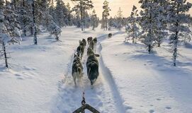 Kuzey Işıkları LAPLAND TURU  ( Sevgililer Günü Özel 3 Gece Konaklamalı)