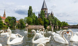 PARİS – DİSNEYLAND - AMSTERDAM BRÜKSEL- BRUGGE TURU 6 Gün-5 Gece (Mayıs Özel)
