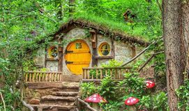ABANT-KARTALKAYA-KARTEPE-MAŞUKİYE (1 Gece Konaklamalı)