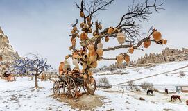 Uçaklı KAPADOKYA TURU (Erciyes Kayak Merkezi ve Kayseri`li) Sömestir (3 Gece Kayseri Gidiş-Kayseri Dönüş)