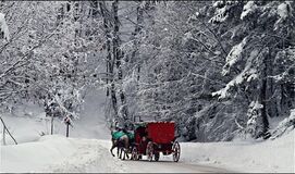 BATI KARADENİZ KIŞ GÜZELLİKLERİ (Safranbolu ve Amasra`lı)