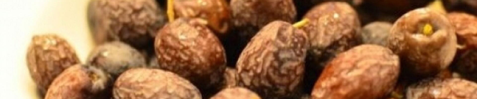 HURMA ZEYTİN ZAMANI  KARABURUN MORDOĞAN BALIKLIOVA